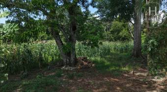Se Vende Terreno de 2.942 m2 en Orotina, Alajuela  NJA1431JB