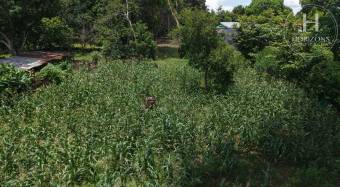 Se Vende Terreno de 2.942 m2 en Orotina, Alajuela  NJA1431JB