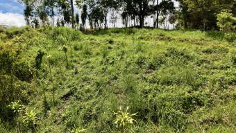 FOR SALE 258 SQM LOT IN TRES RIOS, PEREZ ZELEDON STUNNING VIEWS & AIRBNB POTENTIAL