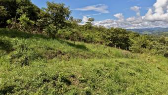 FOR SALE 258 SQM LOT IN TRES RIOS, PEREZ ZELEDON STUNNING VIEWS & AIRBNB POTENTIAL