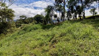 FOR SALE 258 SQM LOT IN TRES RIOS, PEREZ ZELEDON STUNNING VIEWS & AIRBNB POTENTIAL