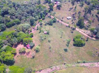 Farm for Sale in Aguas Manzas, Guápiles