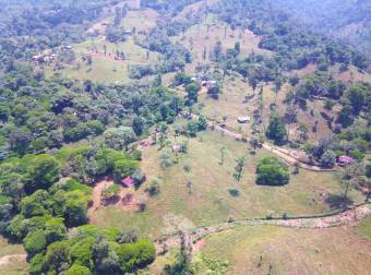 Farm for Sale in Aguas Manzas, Guápiles