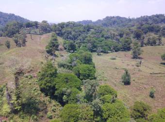 Farm for Sale in Aguas Manzas, Guápiles