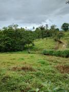 Farm for Sale in Aguas Manzas, Guápiles
