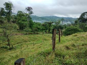 Farm for Sale in Aguas Manzas, Guápiles