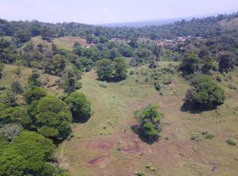 Farm for Sale in Aguas Manzas, Guápiles