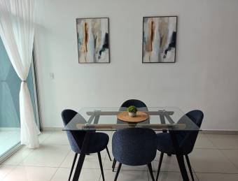 Furnished apartment for rent in Cinco Esquinas, Tibás.