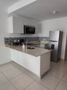 Furnished apartment for rent in Cinco Esquinas, Tibás.
