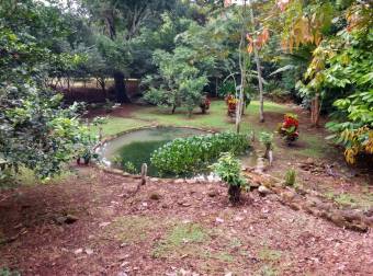 SE VENDE TERRENO LISTO PARA CONSTRUIR CON AGUA PROPIA Y EXCELENTE UBICACION