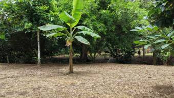 SE VENDE TERRENO LISTO PARA CONSTRUIR CON AGUA PROPIA Y EXCELENTE UBICACION