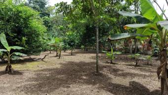 SE VENDE TERRENO LISTO PARA CONSTRUIR CON AGUA PROPIA Y EXCELENTE UBICACION