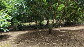 SE VENDE TERRENO LISTO PARA CONSTRUIR CON AGUA PROPIA Y EXCELENTE UBICACION