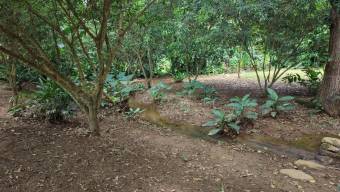SE VENDE TERRENO LISTO PARA CONSTRUIR CON AGUA PROPIA Y EXCELENTE UBICACION