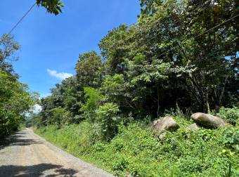 TERRENO EN VENTA CON JUNGLA NATIVA Y ACCESO DIRECTO