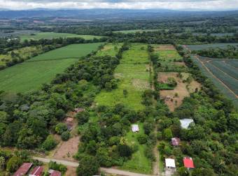 TERRENO EN VENTA CON JUNGLA NATIVA Y ACCESO DIRECTO