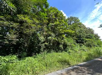 TERRENO EN VENTA CON JUNGLA NATIVA Y ACCESO DIRECTO
