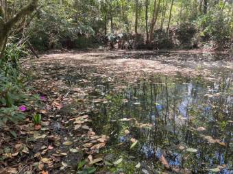 Venta de Lote en Dota-Jardín. RAH 27-455