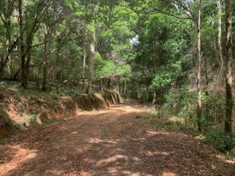 Venta de Lote en Dota-Jardín. RAH 27-455