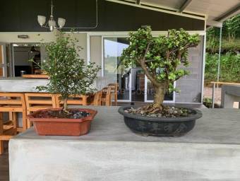 Venta de Quinta AMUEBLADA en Dota-Jardín. RAH 27-444