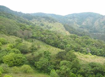 COSTA RICA MOUNTAIN FARM  FOR SALE BY OWNERS
