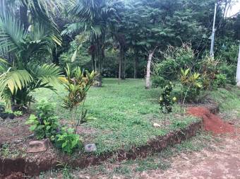 Spacious Lot with Beautiful Landscaping Sceneries