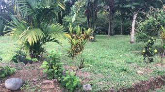 Spacious Lot with Beautiful Landscaping Sceneries