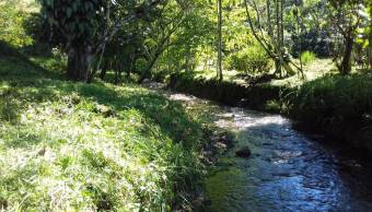 casa de campo, arboles frutales, rio y naturaleza, SAN VITO COTO BRUS