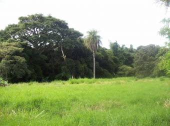 Terreno para desarrollo Mixto en Alajuela