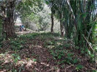  V#393 Oportunidad Terreno con Casa de Venta en Guanacaste 