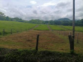 Lote listo para construir