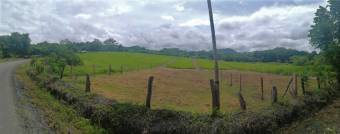 Lote listo para construir