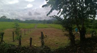 Lote listo para construir