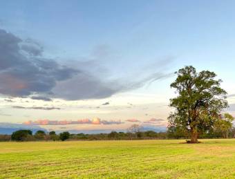 V#462 Asombrosa Finca en Venta en la Ciudad de Liberia