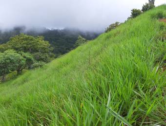 V#449 Espectacular Terreno en Venta en Nandayure/Guanacaste