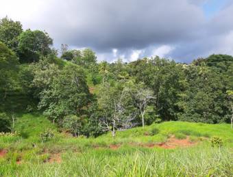 V#449 Espectacular Terreno en Venta en Nandayure/Guanacaste