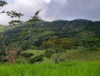 V#449 Espectacular Terreno en Venta en Nandayure/Guanacaste