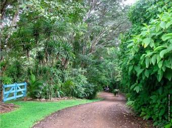 V#408 Rustica Casa y Terreno de Venta en Guanacaste