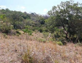 V#376 FINCA EN VENTA EN GUANACASTE / NEGOCIABLE