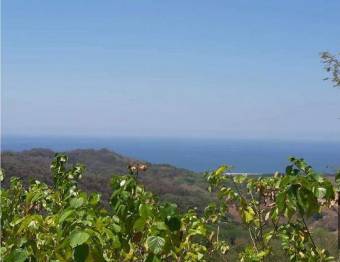 V#376 FINCA EN VENTA EN GUANACASTE / NEGOCIABLE