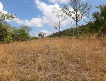 V#376 FINCA EN VENTA EN GUANACASTE / NEGOCIABLE