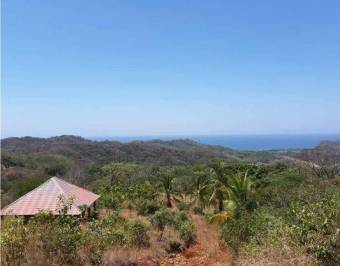 V#376 FINCA EN VENTA EN GUANACASTE / NEGOCIABLE