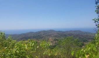 V#376 FINCA EN VENTA EN GUANACASTE / NEGOCIABLE