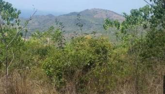 V#376 FINCA EN VENTA EN GUANACASTE / NEGOCIABLE