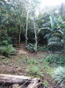 Venta de Propiedad con casa Venta de Propiedad con casa