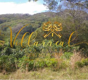 V#306 Majestuosa Finca en Venta/Guanacaste