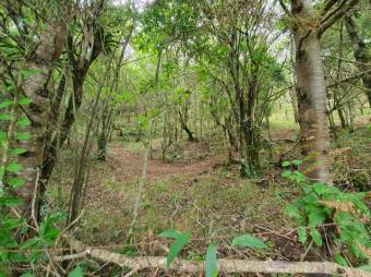 Terreno a la venta A.L. 21-498 Terreno a la venta A.L. 21-498