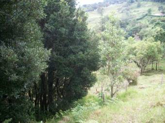 Terreno a la venta A.L. 21-498 Terreno a la venta A.L. 21-498