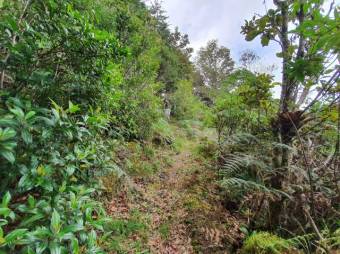 Terreno a la venta A.L. 21-498 Terreno a la venta A.L. 21-498