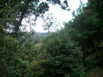 Terreno a la venta A.L. 21-498 Terreno a la venta A.L. 21-498